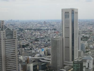 Blick aus dem Rathaus in Tokyo